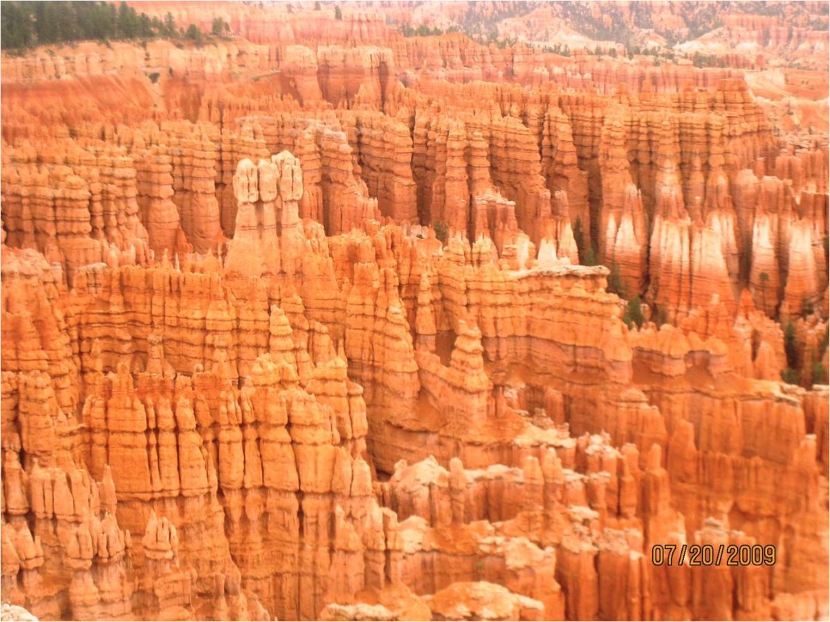 Beauty in symmetry at Bryce Canyon